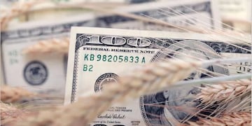 El dólar agro nuevamente en la mira del Gobierno por la falta de liquidación.