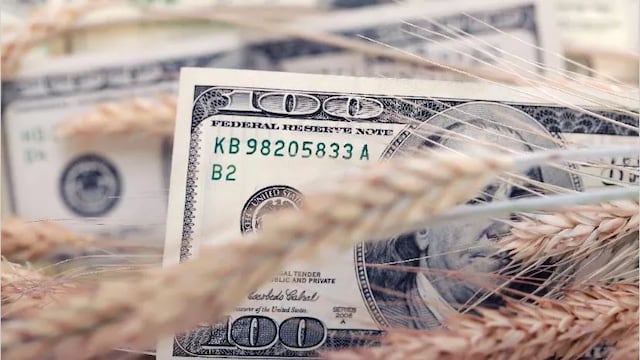 El dólar agro nuevamente en la mira del Gobierno por la falta de liquidación.