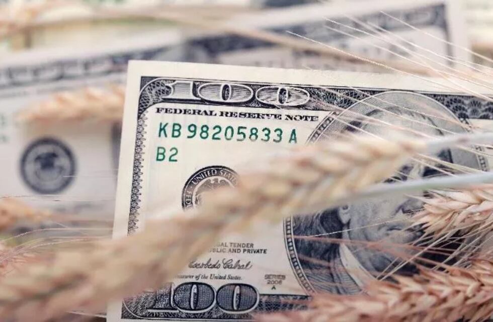 El Gobierno publicó los productos de economías  regionales incluidos en el “dólar agro”