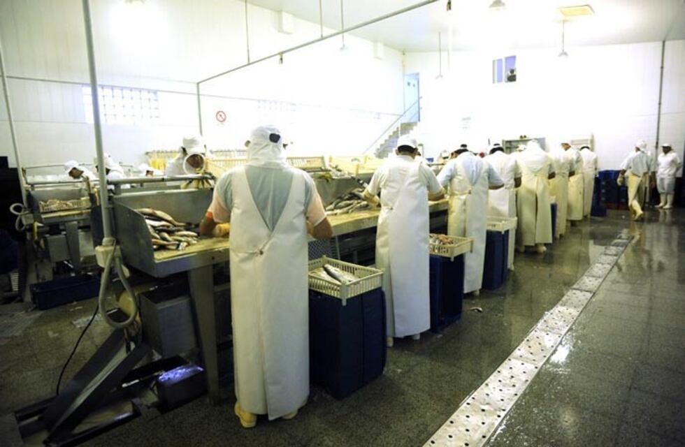 Se confirmaron casos de coronavirus en 17 plantas del Puerto marplatense