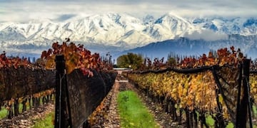 Mendoza