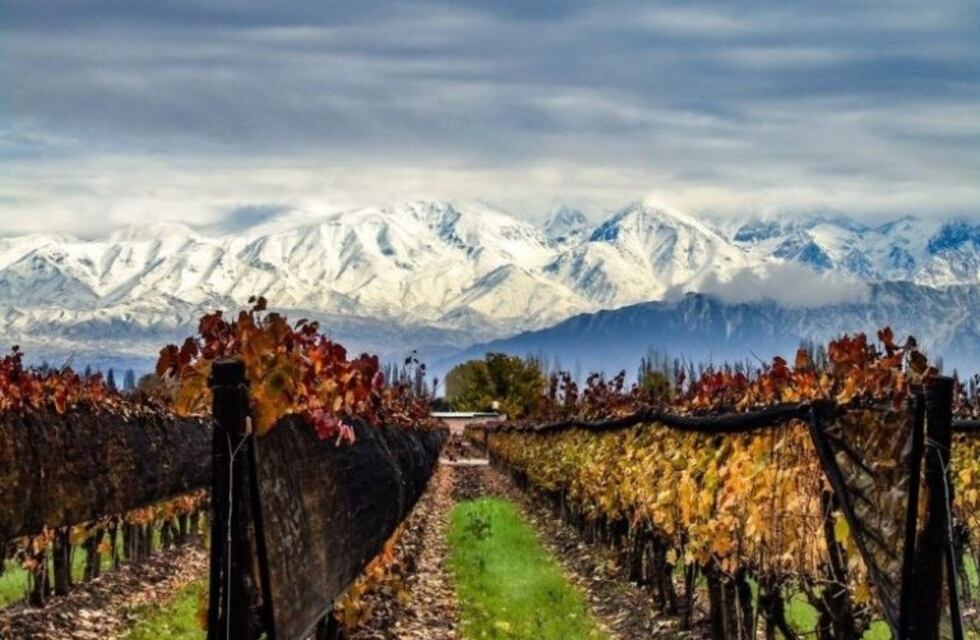 Mendoza podría ser elegida como la mejor provincia del país