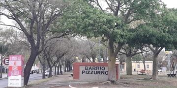 árboles que sacarían para la rotonda