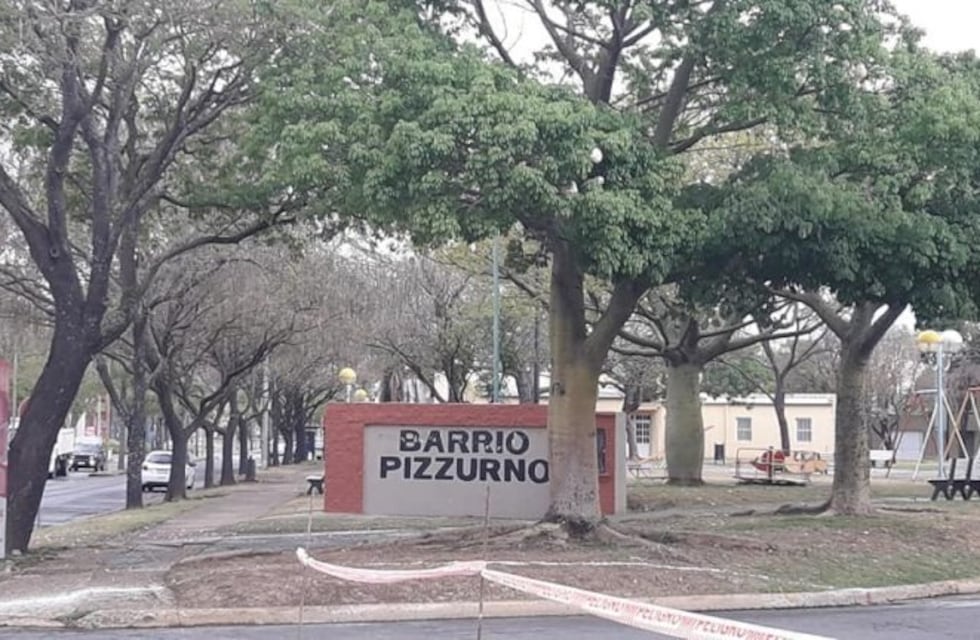 Quieren impedir que saquen tres árboles para hacer la nueva rotonda