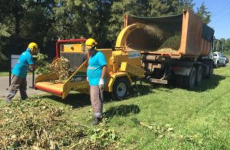 El Municipio ya convierte los residuos verdes de la poda en pequeños chip de madera que entregará a los vecinos