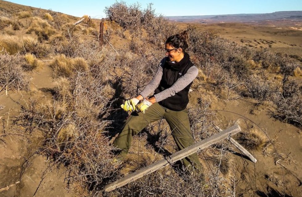 Recuperan el paisaje de la estepa patagónica