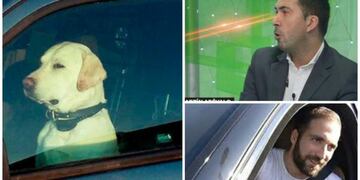 Los memes del #RayoArevalizador\u002E (Foto: Twitter)
