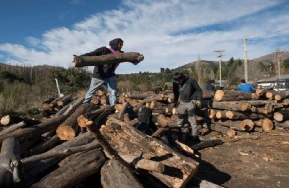 Finalizó la entrega de leña por el Plan Calor en la región sur y andina de Río Negro