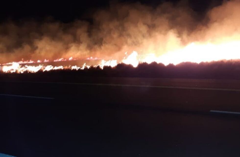 Bomberos y guardaparques extinguieron incendio en Altas Cumbres