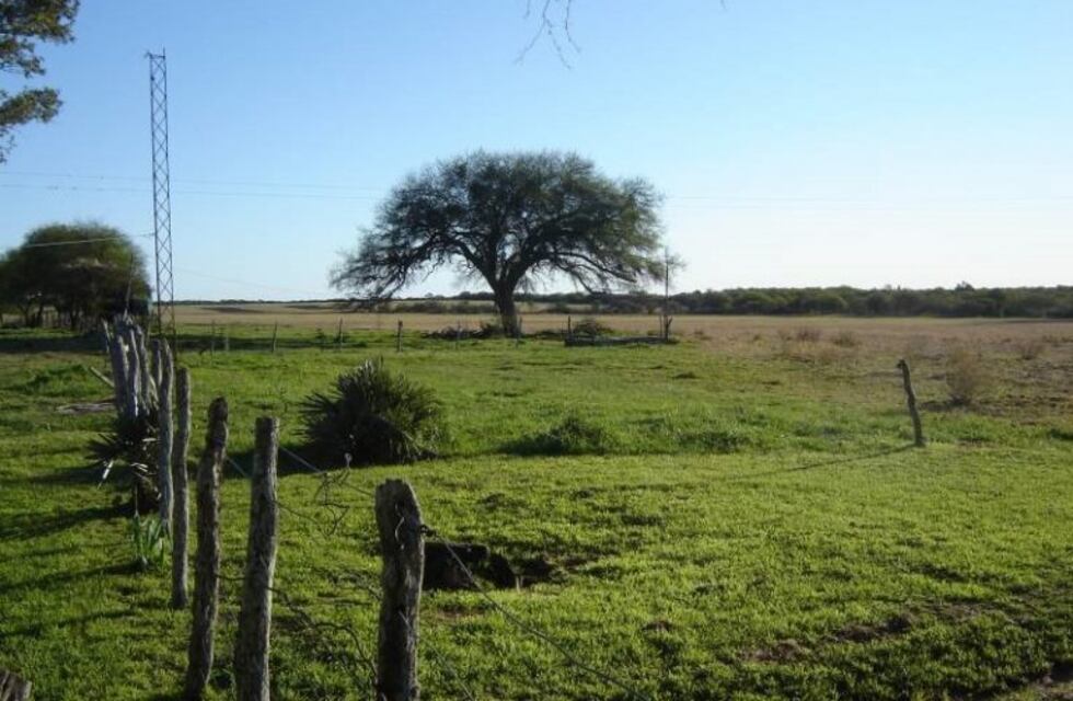 Robo en un establecimiento rural de Crespo