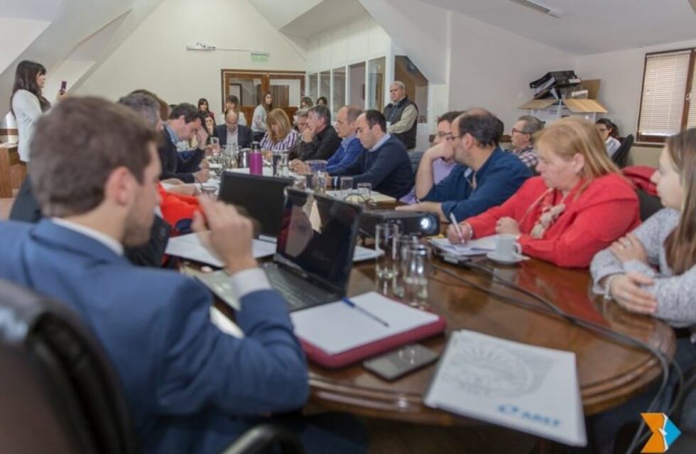 Comenzó el análisis de la declaración de emergencia comercial