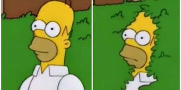Los Simpsons GIF