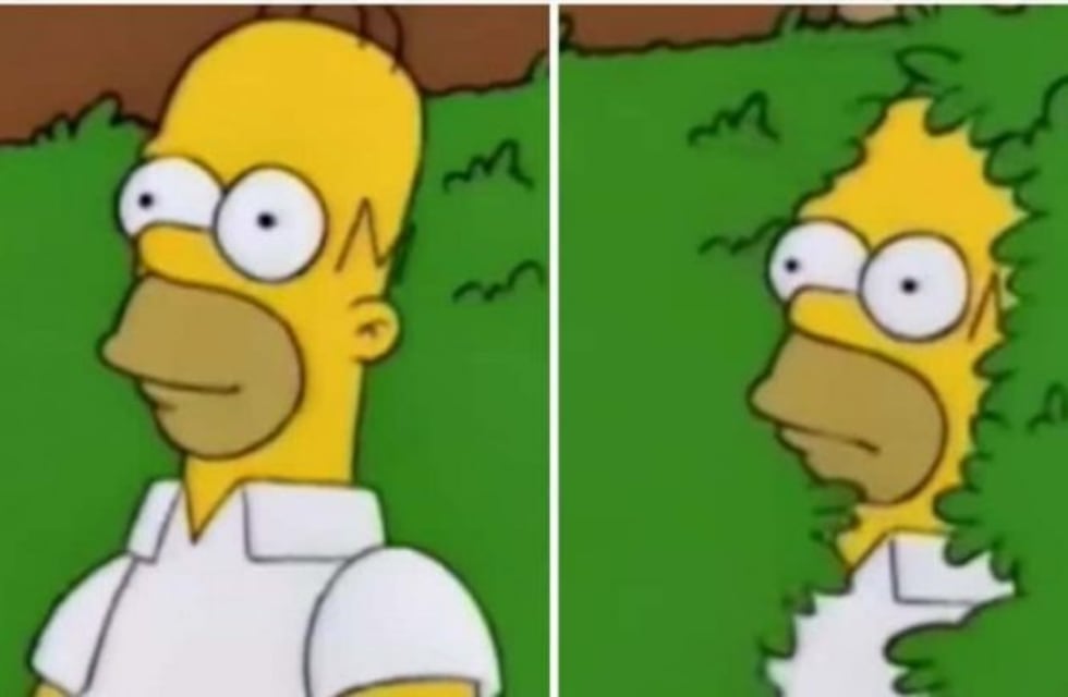 Homero Simpson usó su propio GIF animado y es furor en internet