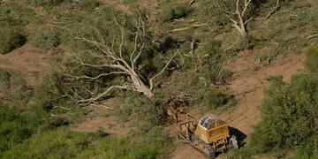 Greenpeace detectó desmontes ilegales en El Impenetrable\u002E