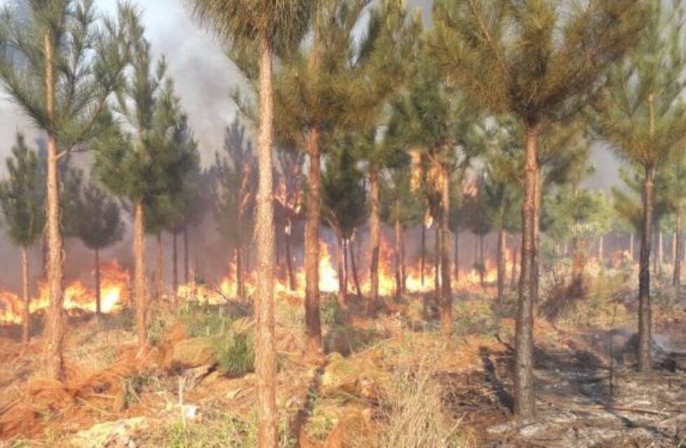 Un incendio amenazó al Parque Provincial Teyú Cuaré