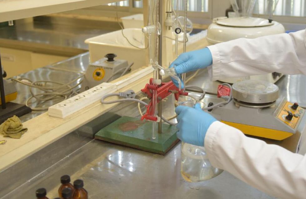 Coronavirus: un argentino descubre que las personas resfriadas podrían no contagiarse