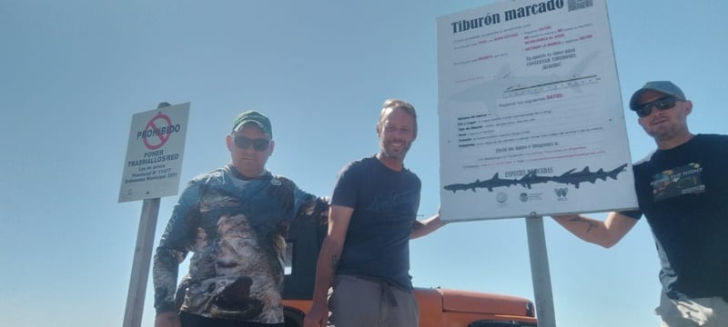Conservar tiburones: un proyecto federal que une ciencia y pesca responsable (Foto Lucas Albornoz)