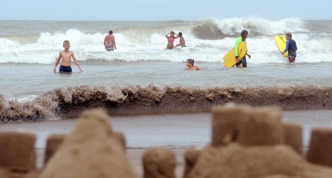 Qué hacer si te “pica” una tapioca: alerta por su presencia en la Costa Atlántica (Archivo).