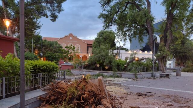 Intensos vientos provocaron destrozos en La Rioja (@Rodribrac).