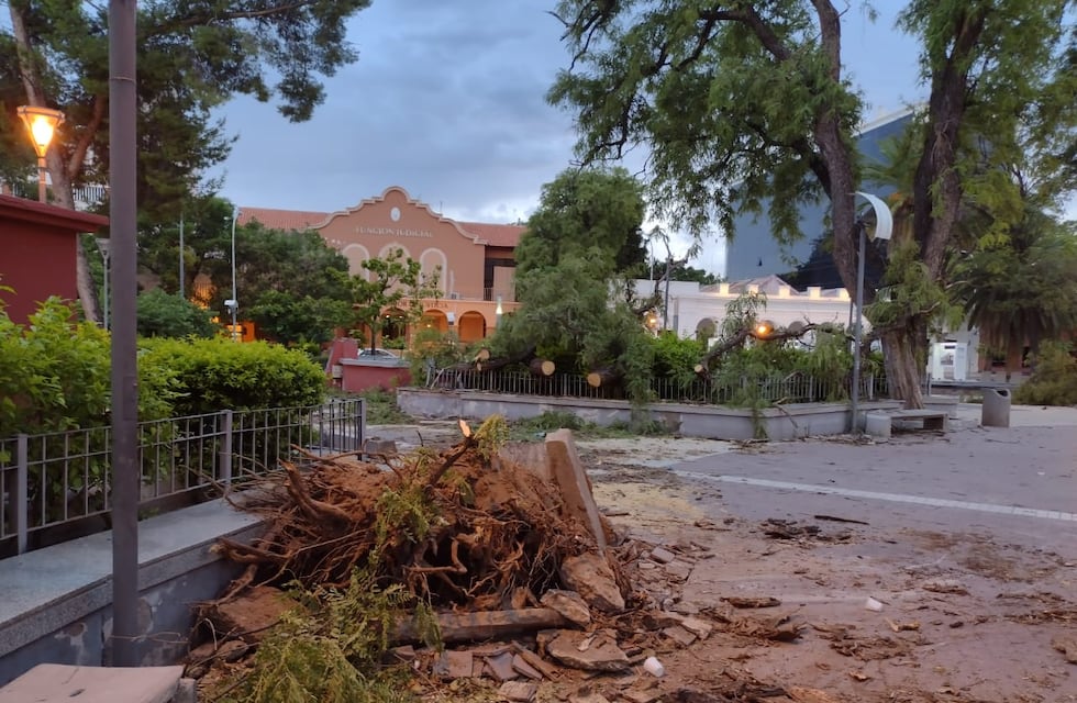 La Rioja: intensas ráfagas de viento provocaron destrozos en la capital