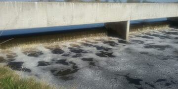 Liberaron un canal que debu00eda evacuar agua de La Picasa y estaba bloqueado.