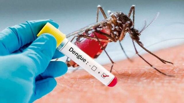 Insisten en las medidas preventivas contra el dengue