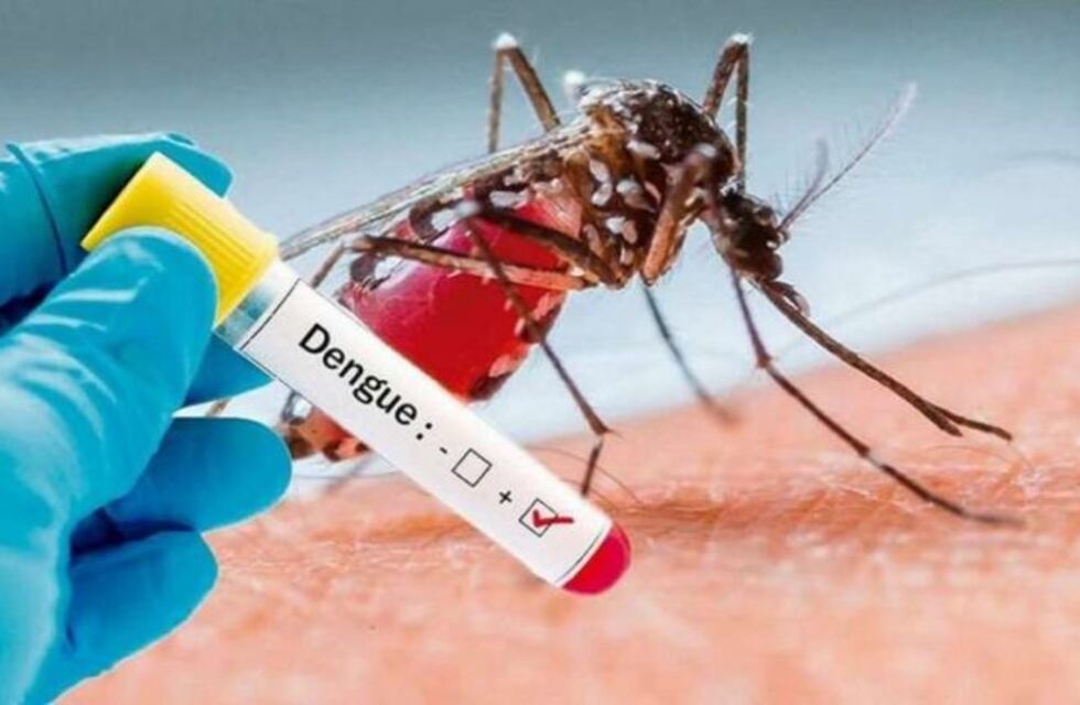 Confirmaron dos casos de dengue en Iguazú