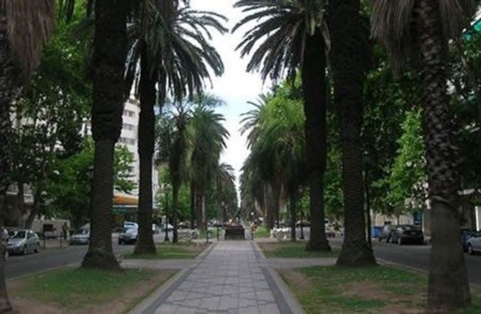 Proponen implementar ciclovías por bulevar Oroño y sacar el estacionamiento