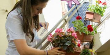 Los criaderos de mosquitos, el objetivo de las brigadas sanitarias contra el dengue\u002E