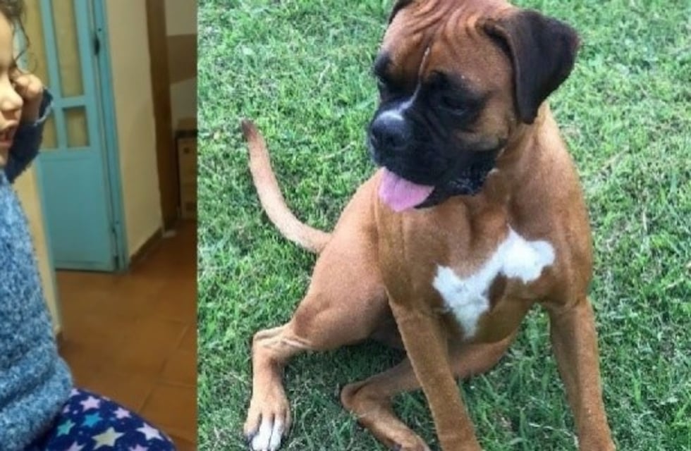 Una niña grabó un tierno video para que le devuelvan su perra Hooki