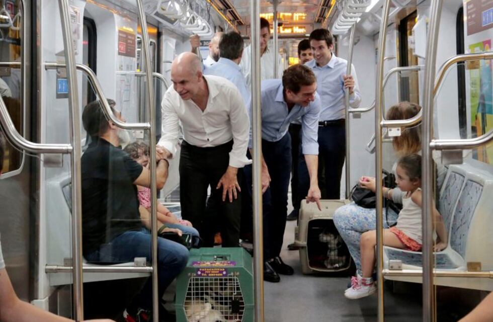 A partir de hoy, las mascotas pueden viajar en el subte