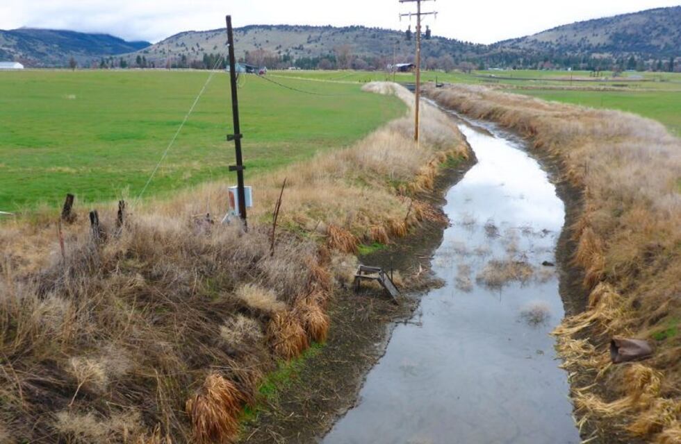 Revocan la prisión perpetua para una joven que arrojó a su bebé de tres meses a una acequia