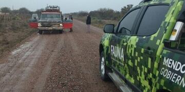 El operativo se hizo en conjunto con el cuerpo de inspectores del Iscamen y personal de la Policía Rural de Mendoza\u002E