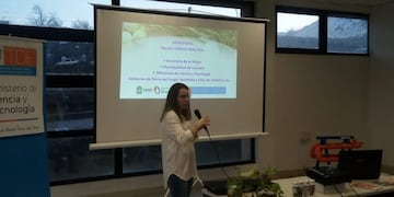 Taller de HIDROPONIA