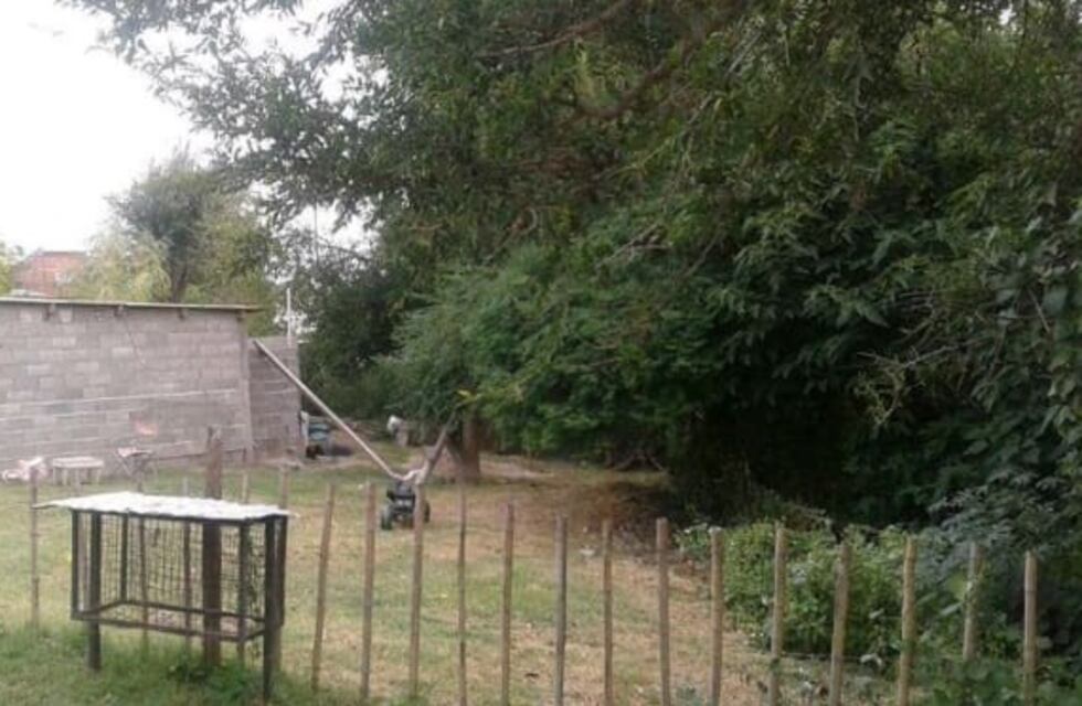 Insólito: usurpan terrenos, construyen viviendas precarias, las venden por Facebook