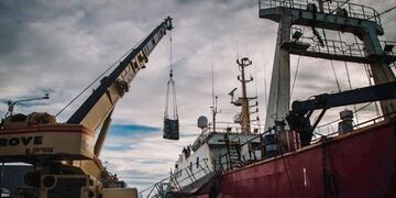 Puerto: se registró un incremento del 12% en las descargas de pesca (web)