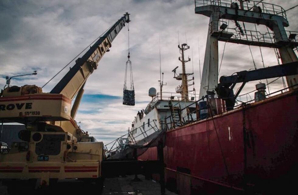 Puerto: se registró un incremento del 12% en las descargas de pesca