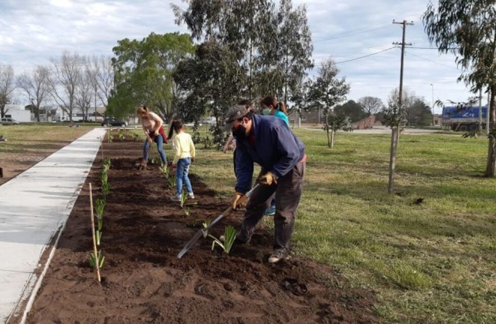 Se plantaron 140 especies verdes en la senda peatonal de Orense