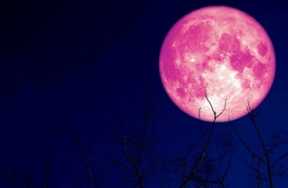 "Luna de fresa": un eclipse muy particular se verá este viernes desde Argentina