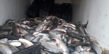 El cargamento fue decomisado este lunes cerca de la planta de Louis Dreyfus\u002E (@minsegsf)