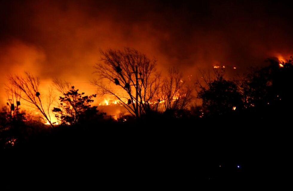 Un incendio en La Quebrada del Condorito amenaza al hábitat del cóndor andino en Córdoba