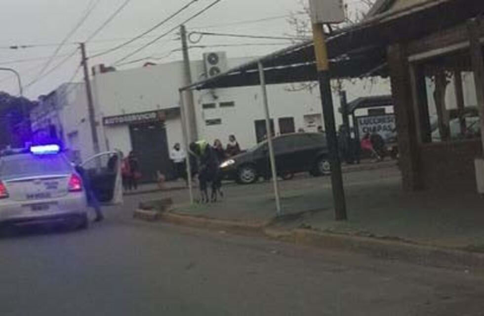 ¡Para aplaudir! Dos policías asistieron a un perro que había sido atropellado en Viale y Francia