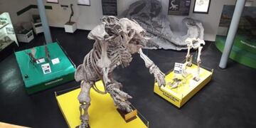 Reabrió la Sala de Paleontología del Museo Padre Jesús Molina"