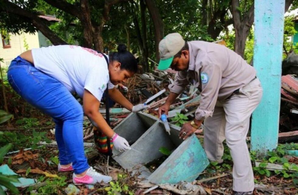De 13 casos de dengue en Misiones, 11 son de la Zona Norte