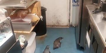 excelsior\u002Ecom\u002Emx