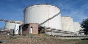 La producciu00f3n de biodiesel creciu00f3 casi un 70% con respecto a 2015.