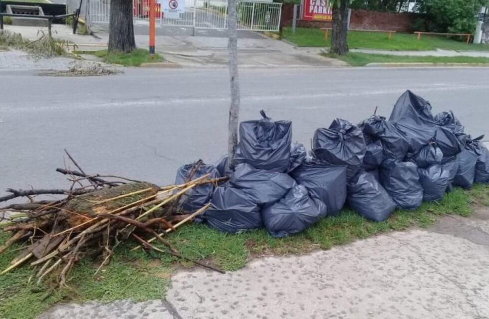 Continúan los trabajos de limpieza en el lago y en la costanera de Carlos Paz
