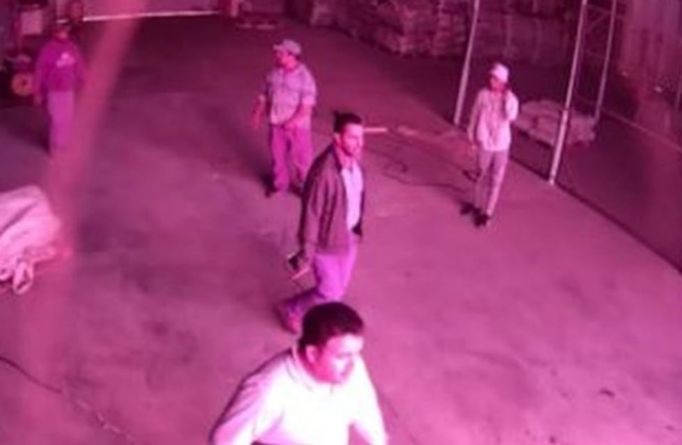 Difunden un video que complica aún más al diputado salteño Singh