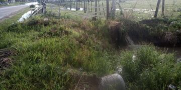 Denuncian sabotajes en La Plata\u002E