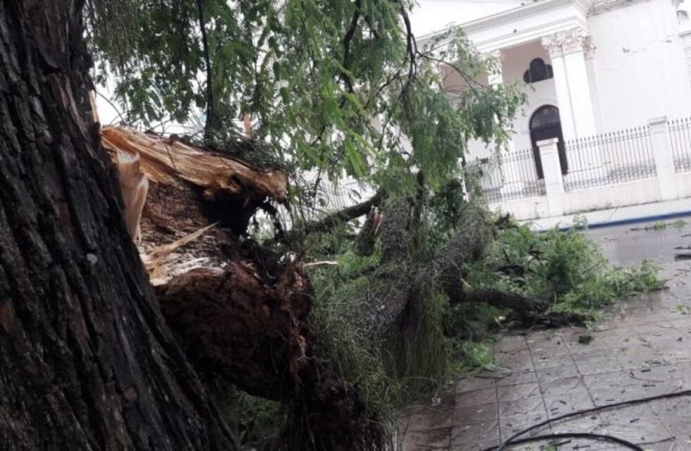 Fuerte tormenta sacudió la siesta correntina